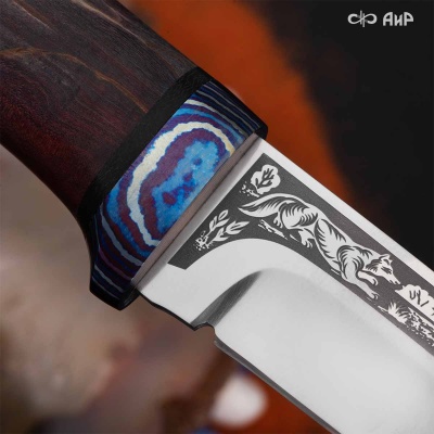 Универсальный нож Лиса, сталь Elmax, ZlaTi, рукоять стабилизированная карельская береза в интернет-магазине art-steel.ru Универсальный нож Лиса, сталь Elmax, ZlaTi, рукоять стабилизированная карельская береза в интернет-магазине art-steel.ru, фото