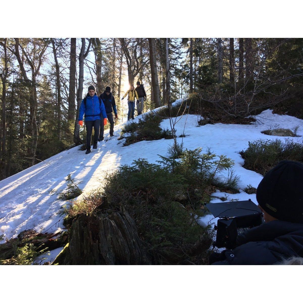 Водонепроницаемые носки DexShell Trekking Green XL (47-49) в интернет-магазине art-steel.ru Водонепроницаемые носки DexShell Trekking Green XL (47-49) в интернет-магазине art-steel.ru, фото