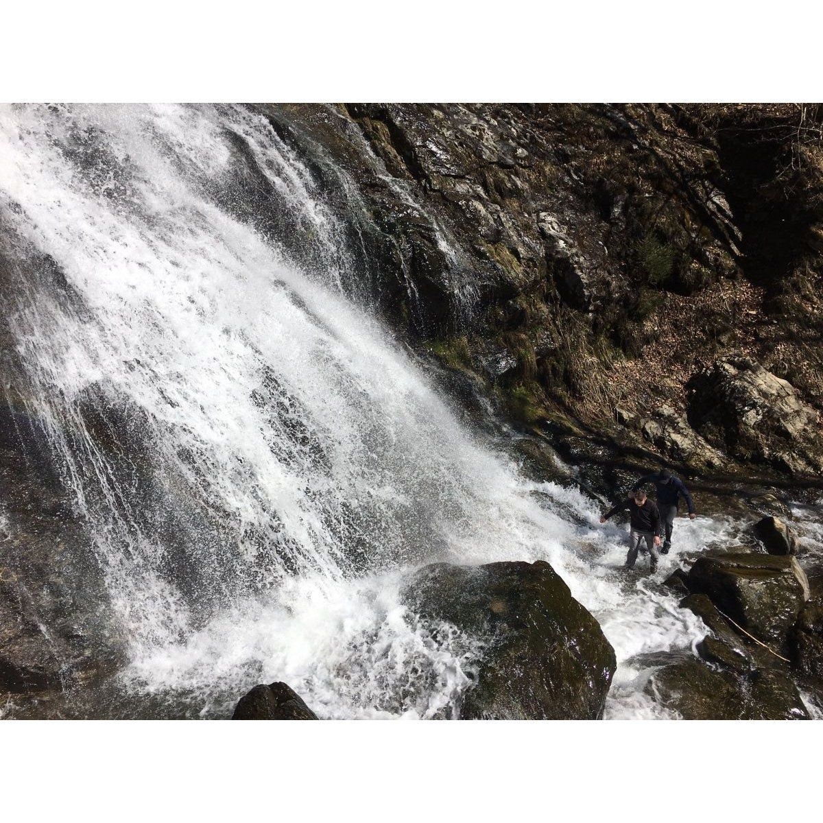 Водонепроницаемые носки DexShell Thermlite Green XL (47-49) в интернет-магазине art-steel.ru Водонепроницаемые носки DexShell Thermlite Green XL (47-49) в интернет-магазине art-steel.ru, фото