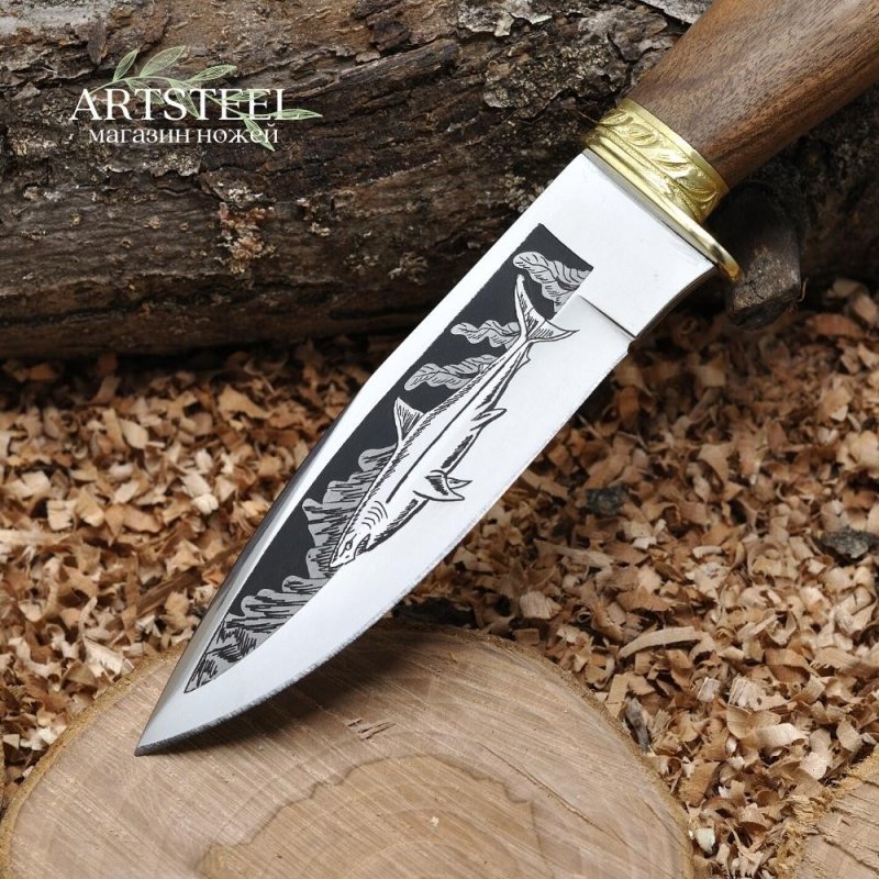 Нож Акула-2 AUS-8 дерево с латунной гардой и навершием в интернет-магазине art-steel.ru, фото