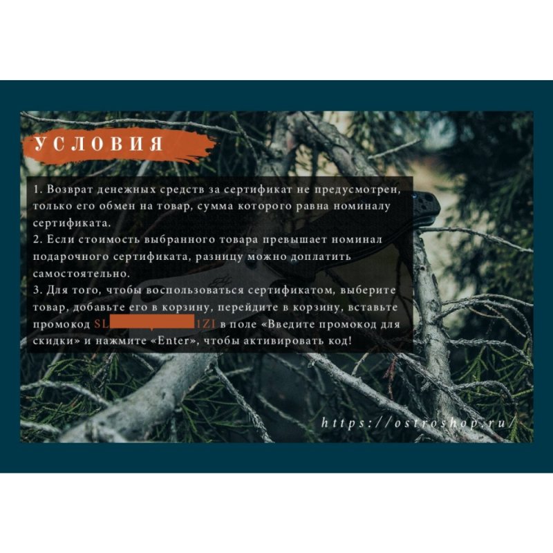 Подарочный сертификат на ₽ в интернет-магазине art-steel.ru, фото