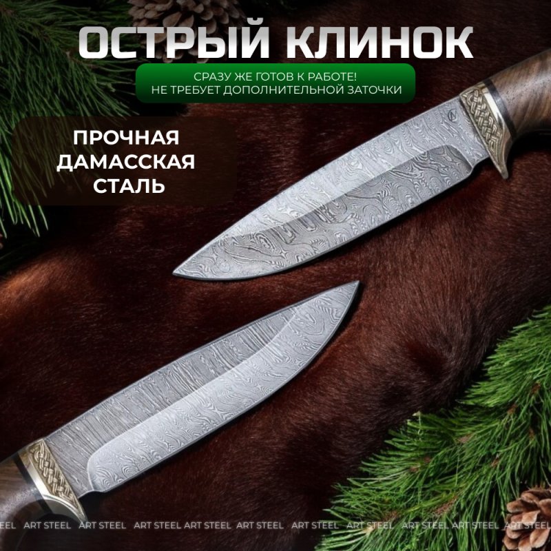 Нож Лазутчик из дамасской стали, рукоять ореховый кап, литьё мельхиор в интернет-магазине art-steel.ru, фото