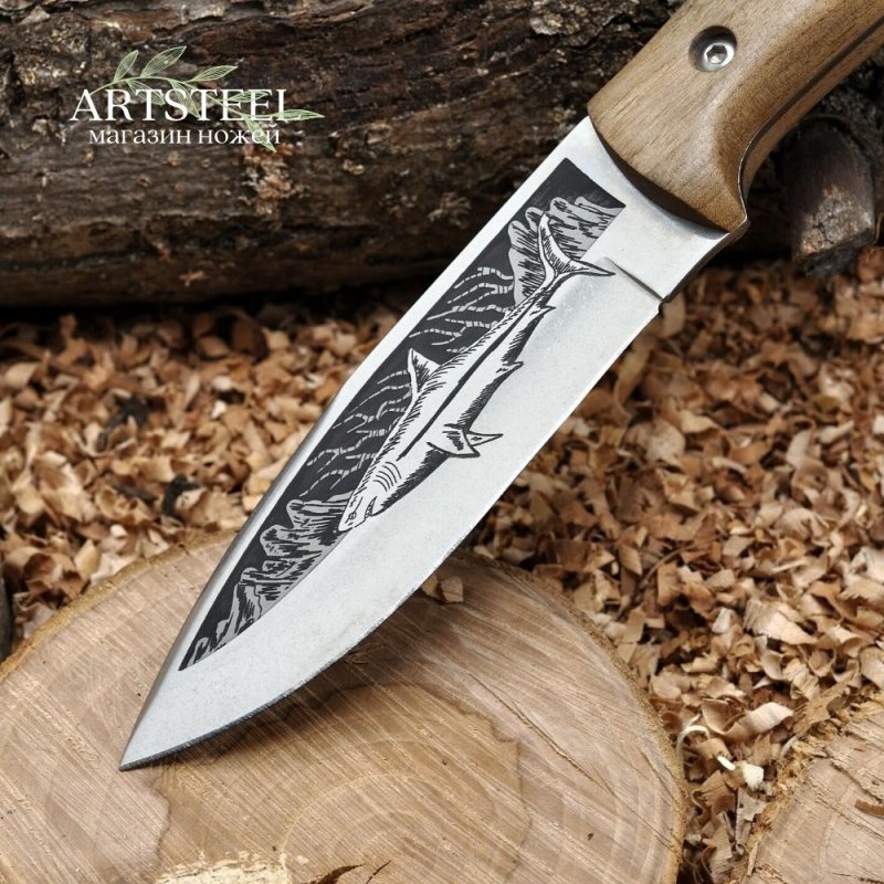 Охотничий нож Акула-2, сталь AUS8, рукоять орех в интернет-магазине art-steel.ru, фото