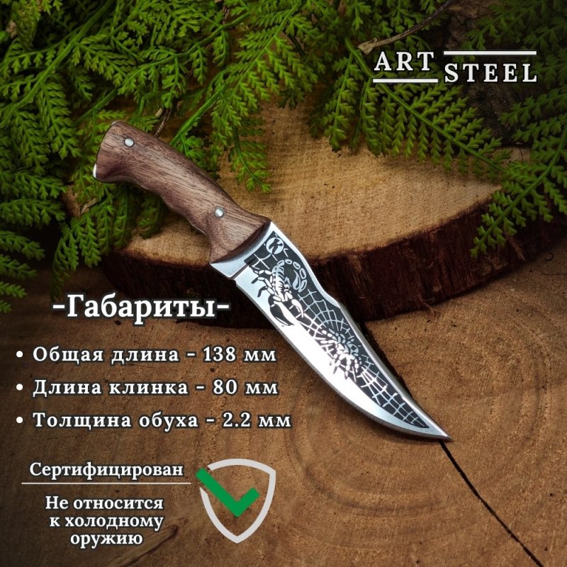 Нож сувенирный Скорпион, сталь AUS8, рукоять дерево в интернет-магазине art-steel.ru, фото